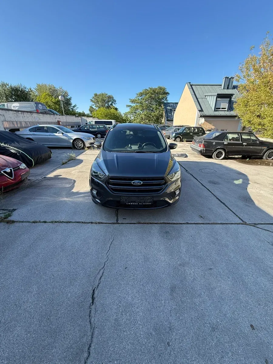 Ford Kuga 2018 photo 3