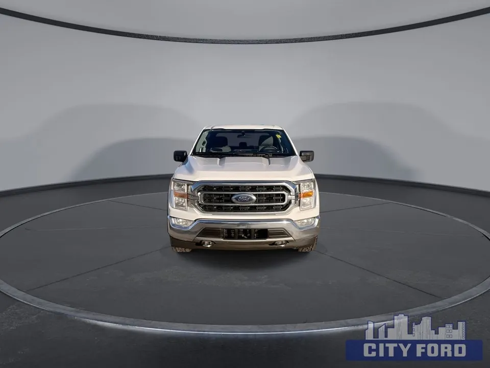 Ford F-150 2021 photo 3