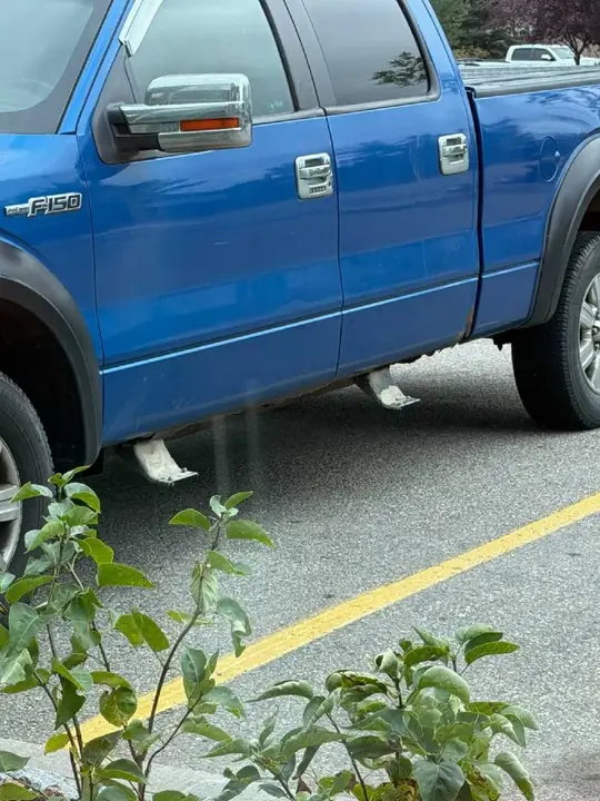 Ford F-150 2010 photo 5