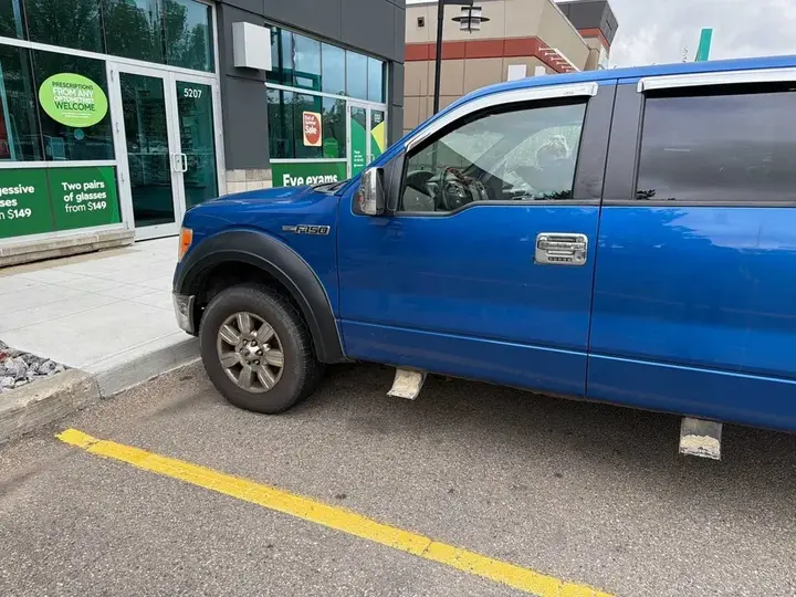 Ford F-150 2010 photo 3