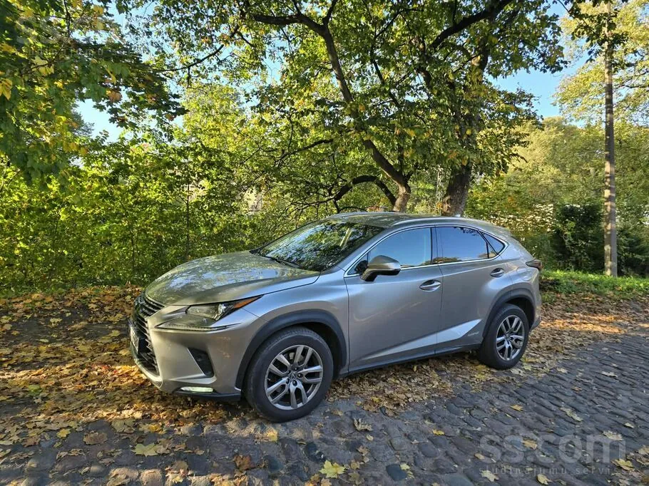 Lexus Nx 2019 photo 4