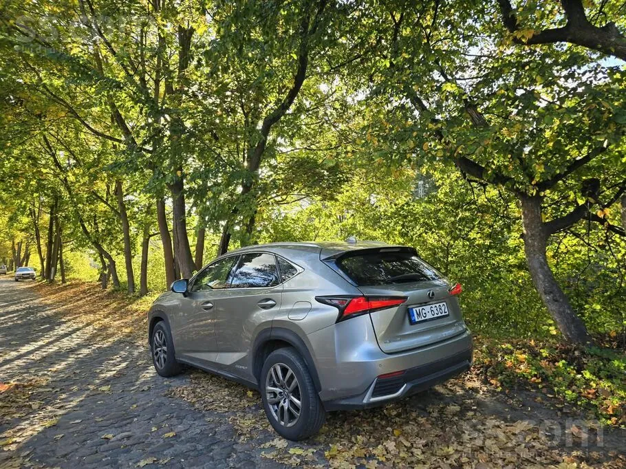 Lexus Nx 2019 photo 3