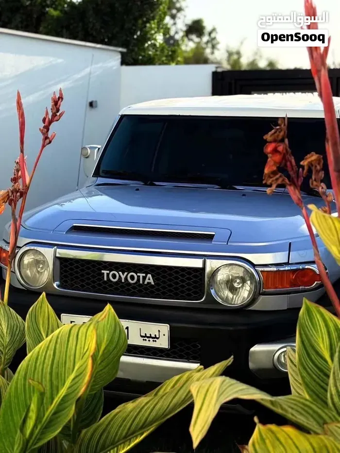 Toyota Fj Cruiser 2008 photo 4