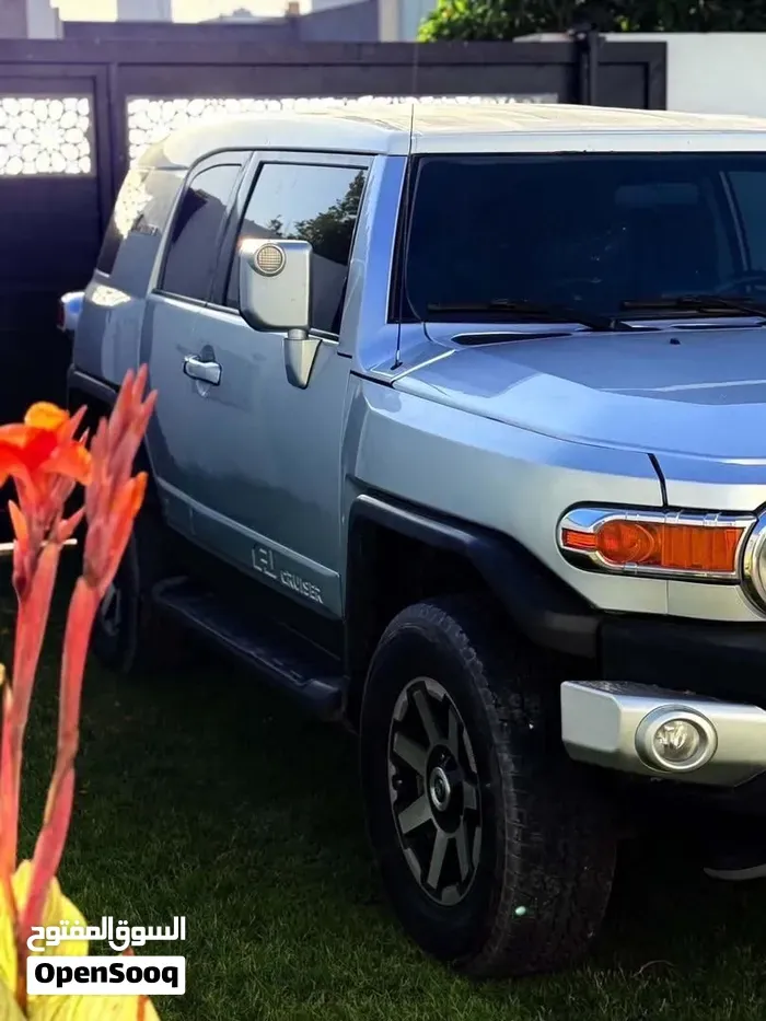 Toyota Fj Cruiser 2008 photo 2