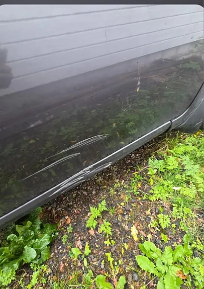 Toyota Auris 2009 photo 3