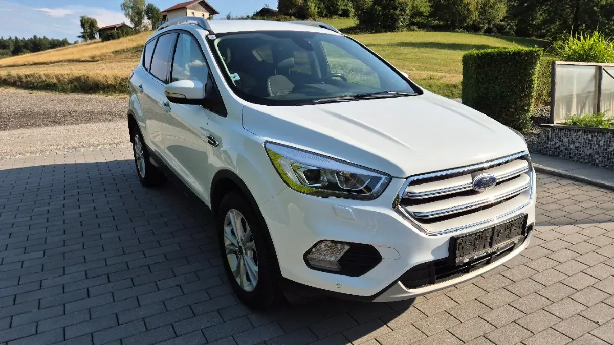 Ford Kuga 2017 photo 2