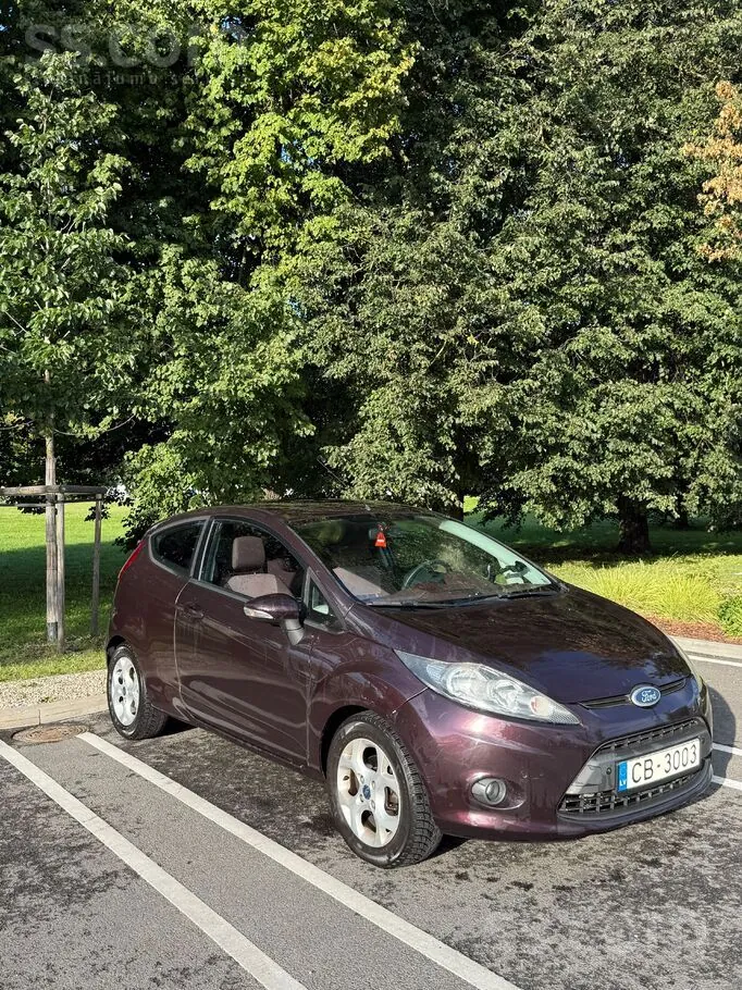 Ford Fiesta 2010 photo 2
