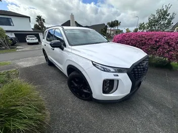 Hyundai Palisade 2022 photo 5
