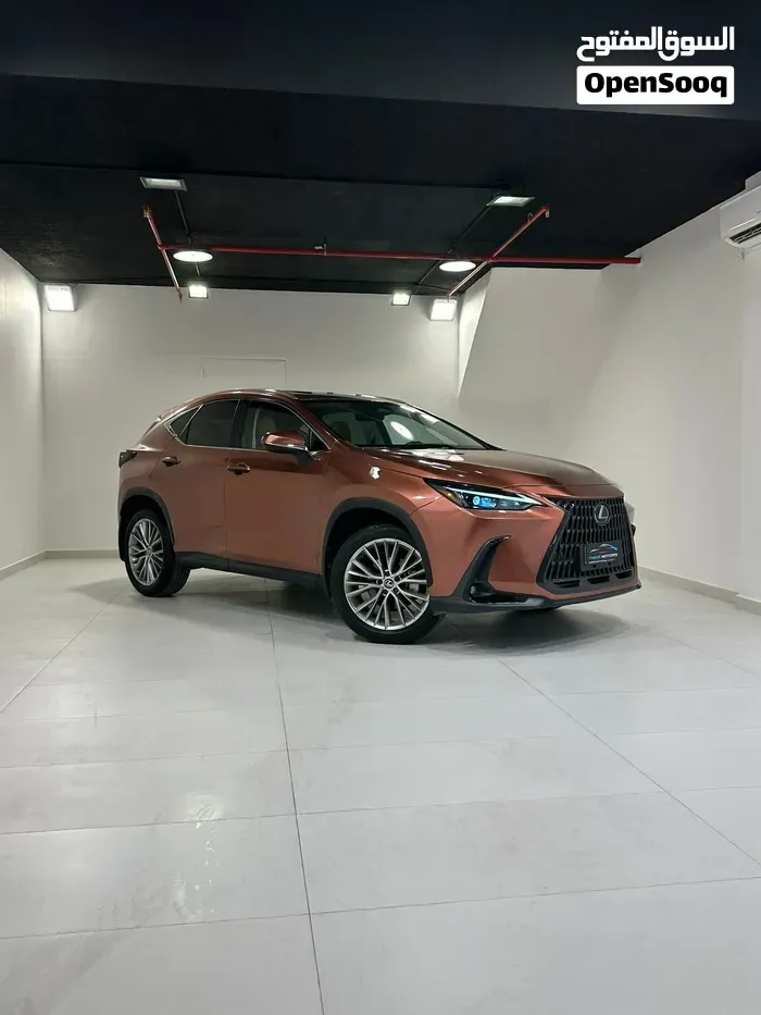 Lexus Nx 350 2025 photo 2