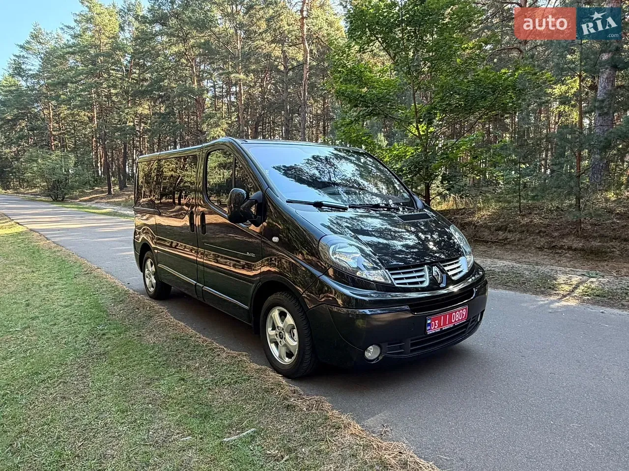 Renault Trafic 2013 photo 2