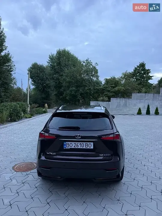 Lexus Nx 2015 photo 5