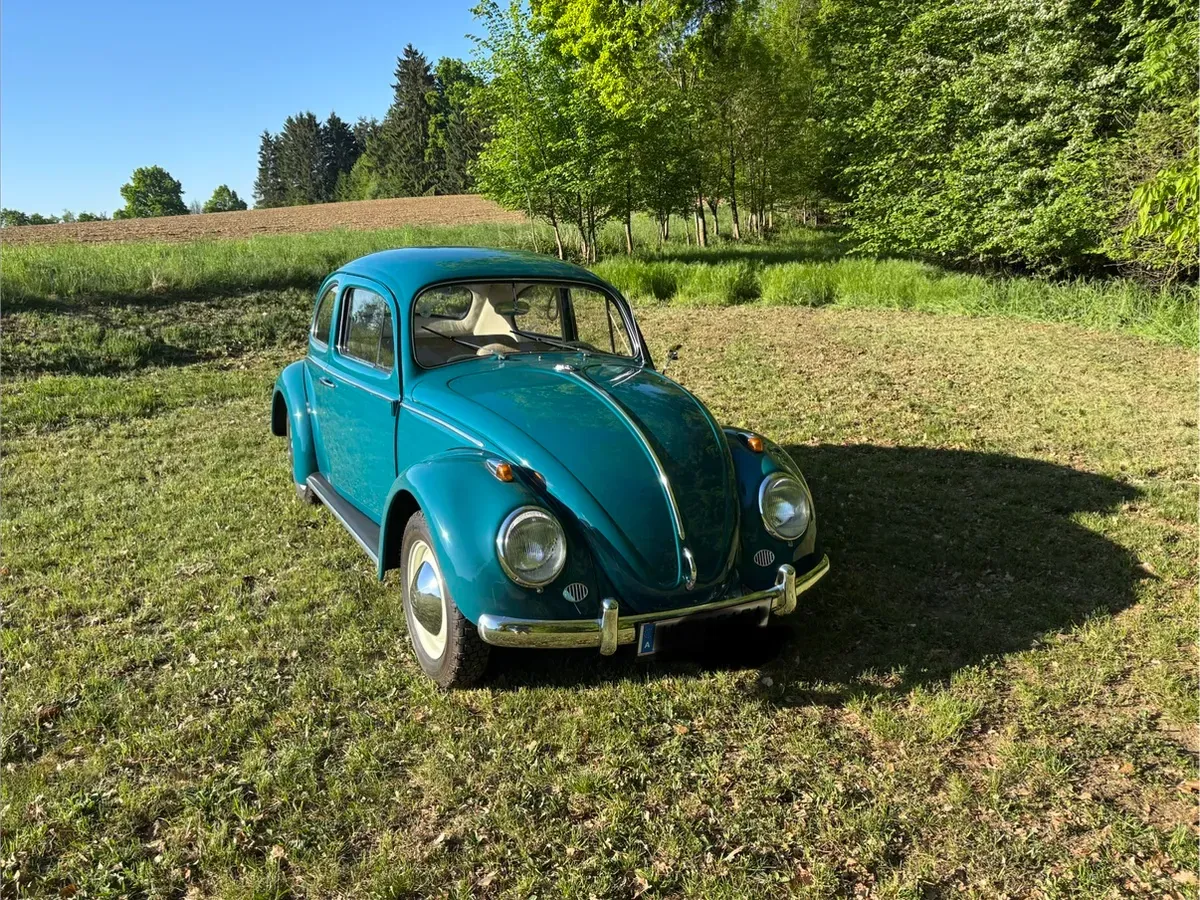Volkswagen Käfer