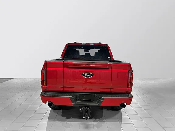 Ford F-150 2025 photo 4