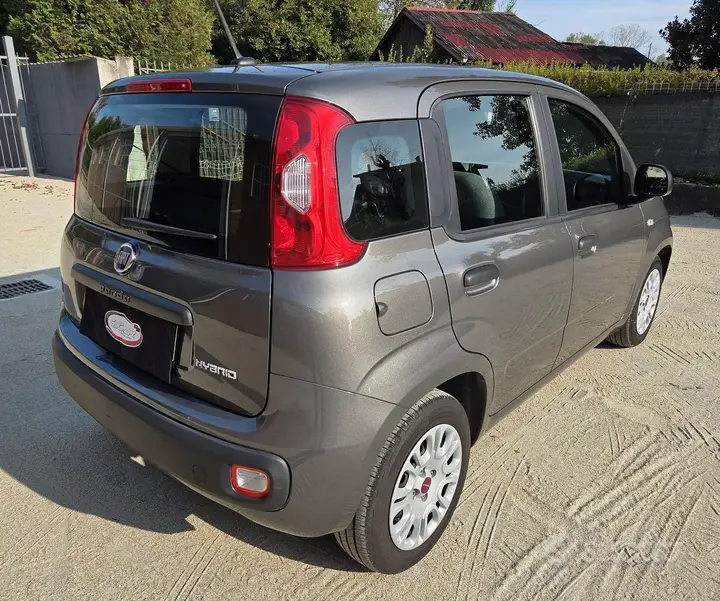 Fiat Panda 2021 photo 3