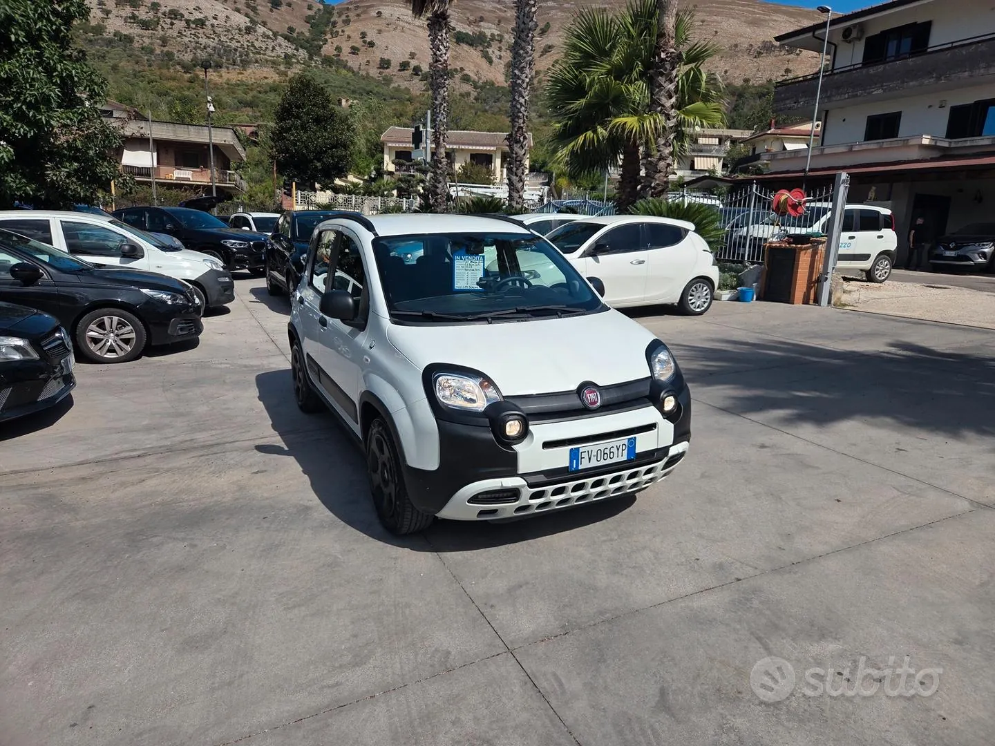 Fiat Panda 2019 photo 2