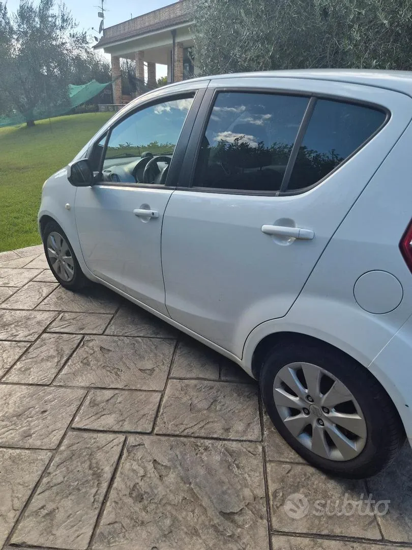 Suzuki Splash