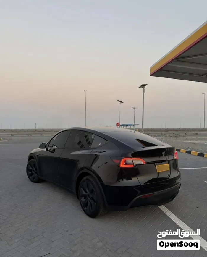 Tesla Model Y 2024 photo 4