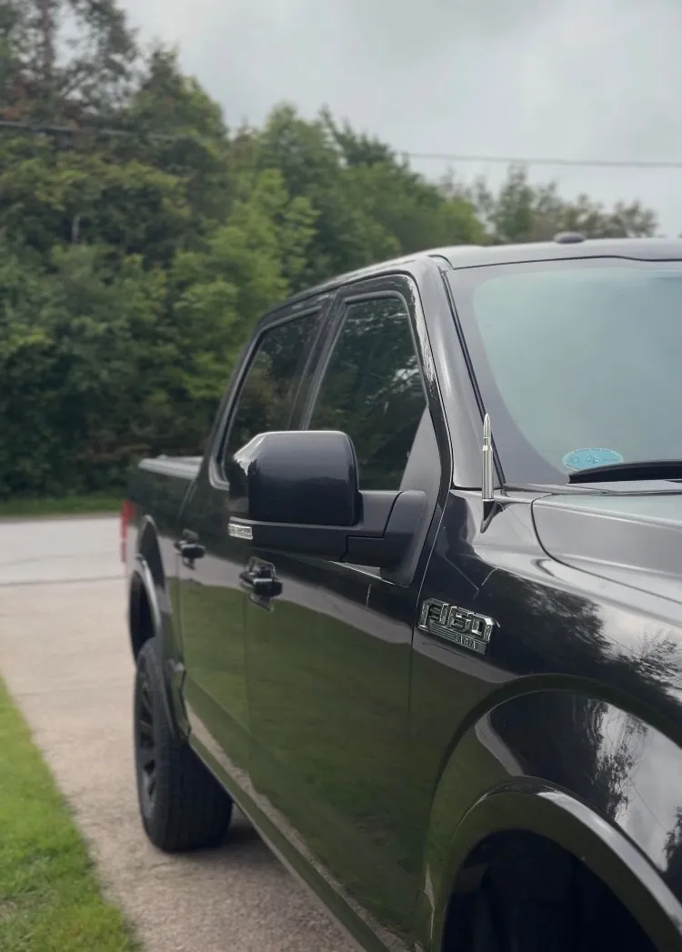 Ford F-150 2015 photo 2