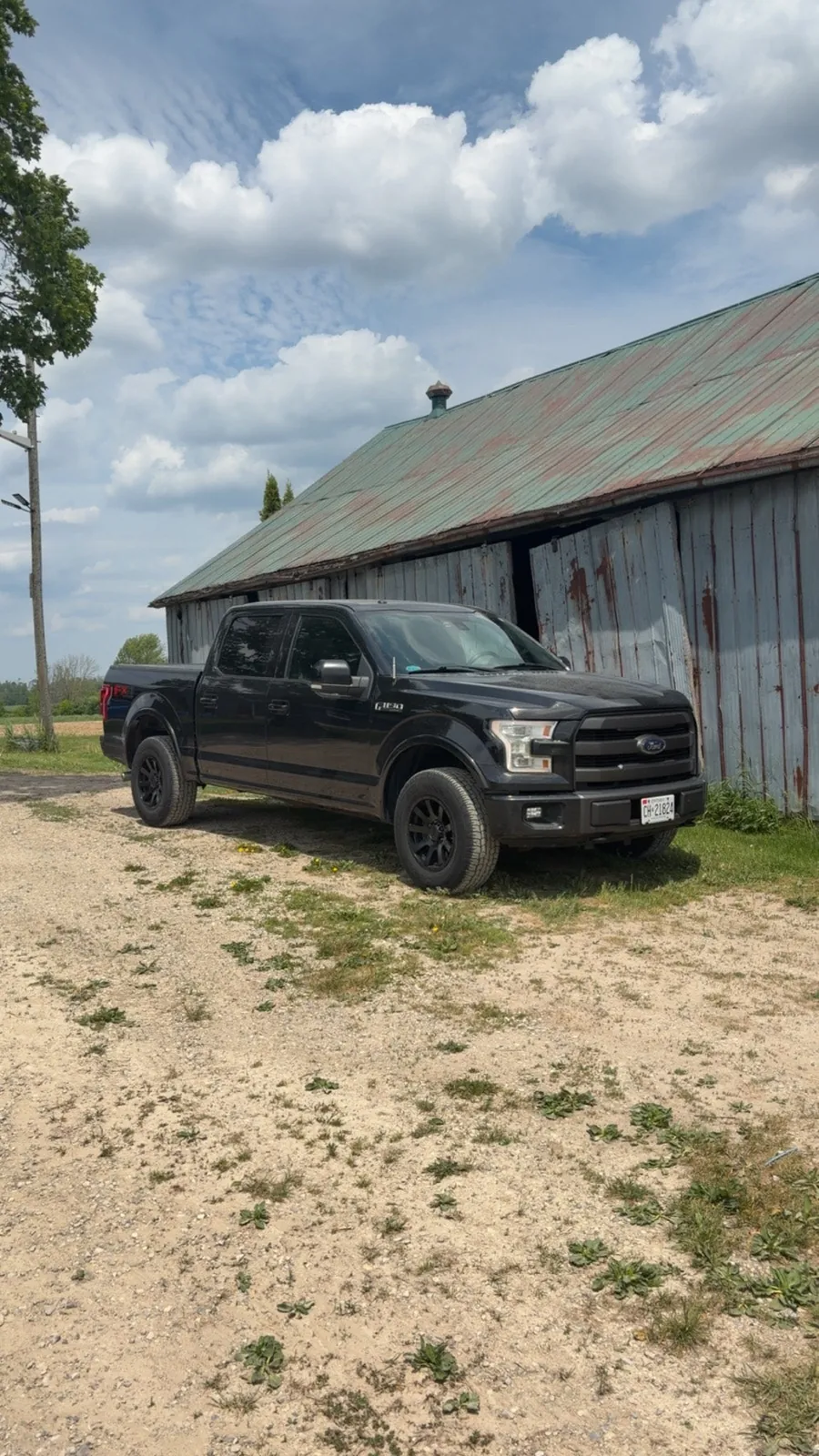 Ford F-150 2015 photo 4