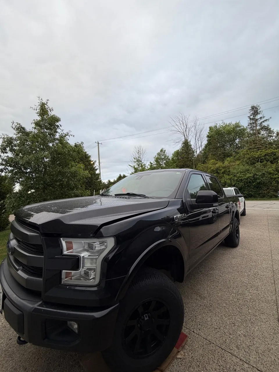 Ford F-150 2015 photo 3