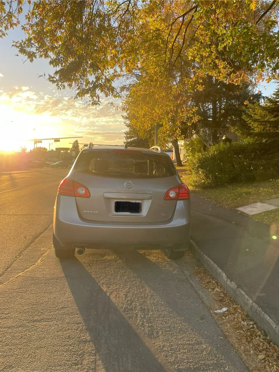 Nissan Rogue 2008 photo 4