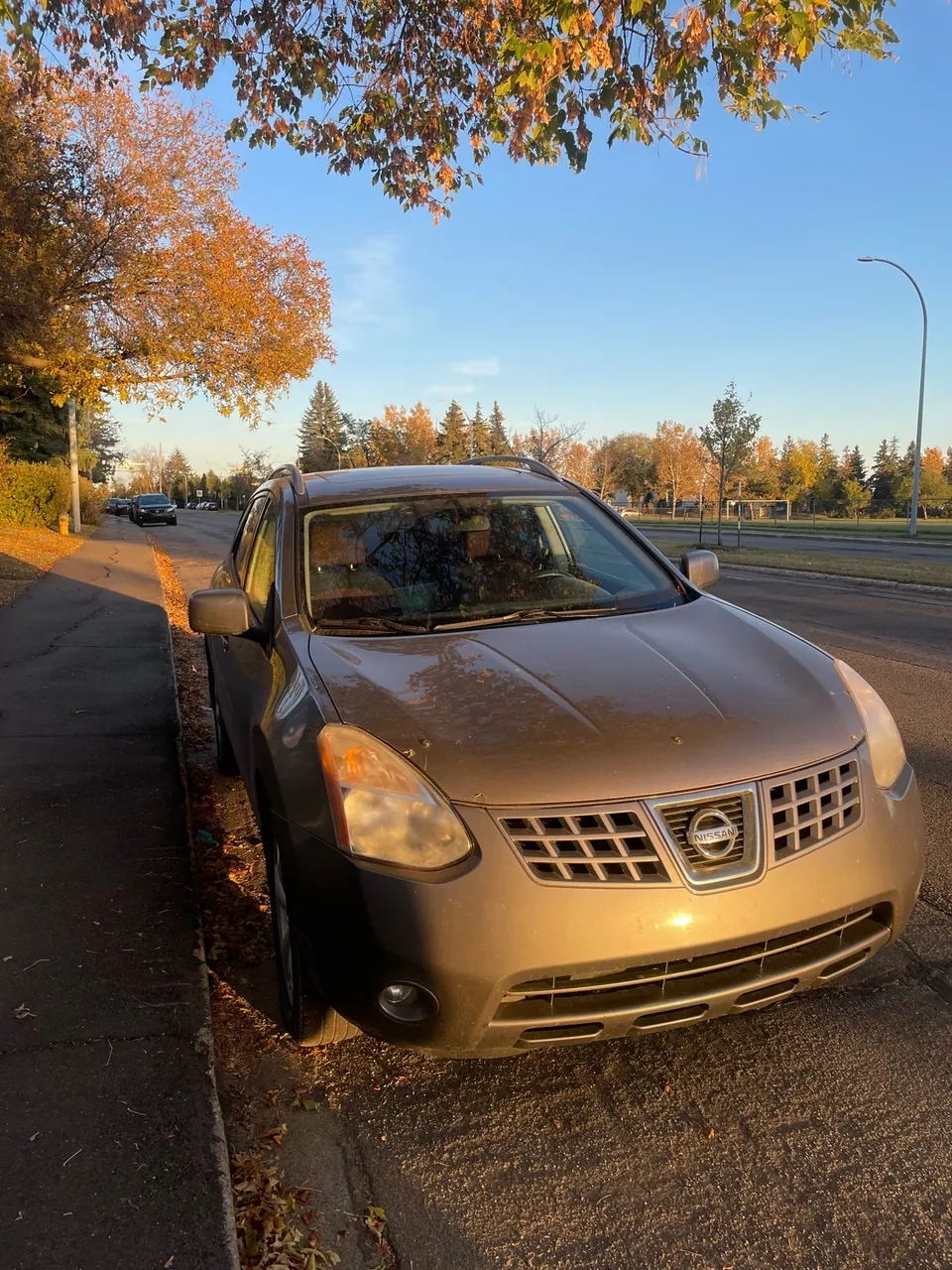 Nissan Rogue 2008 photo 2