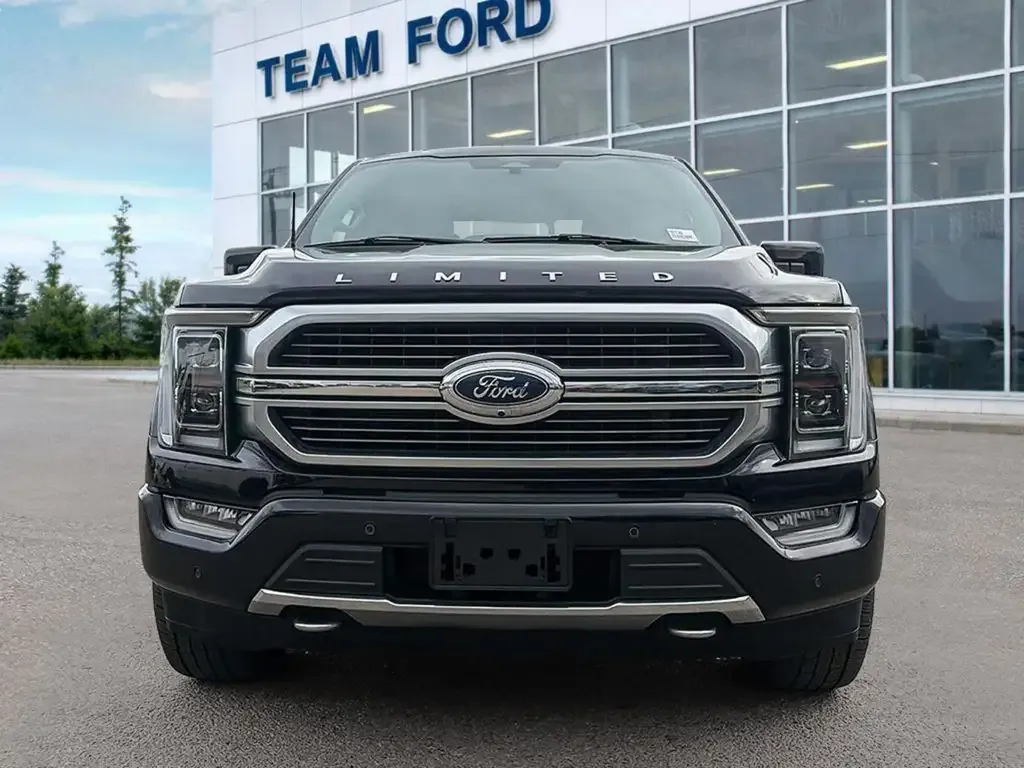 Ford F-150 2022 photo 2