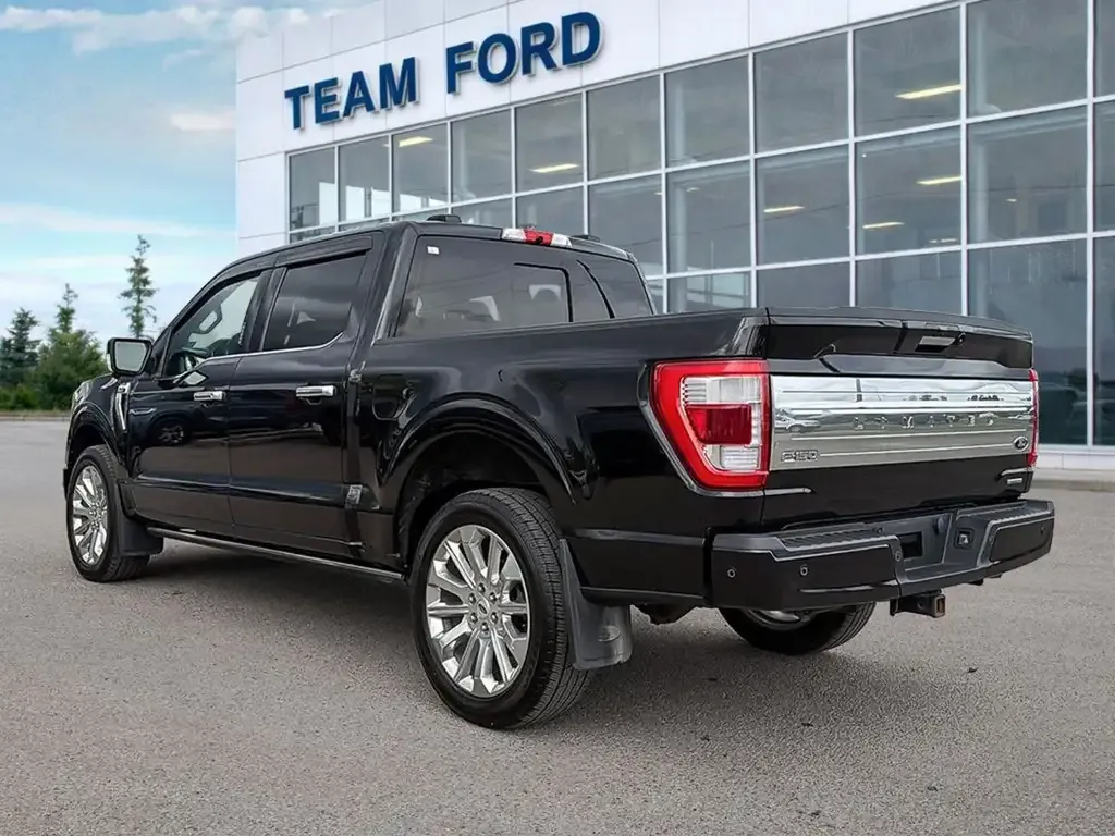 Ford F-150 2022 photo 4