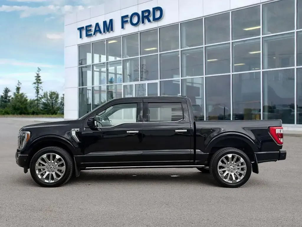 Ford F-150 2022 photo 3