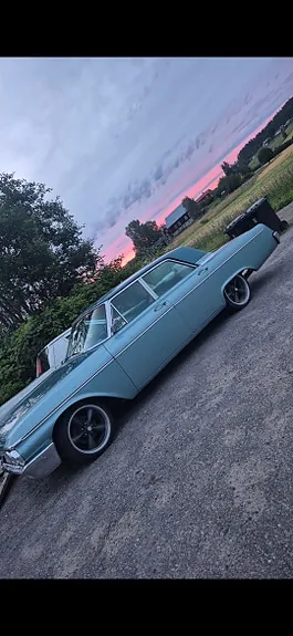Ford Galaxie