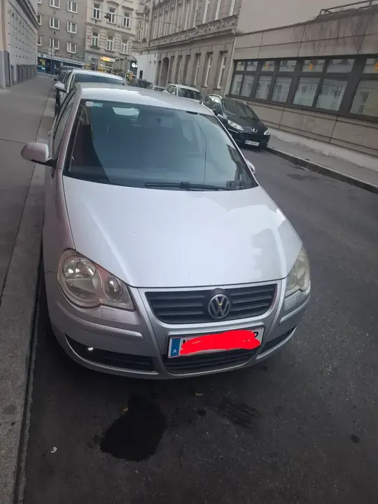 Volkswagen Polo 2007 photo 2
