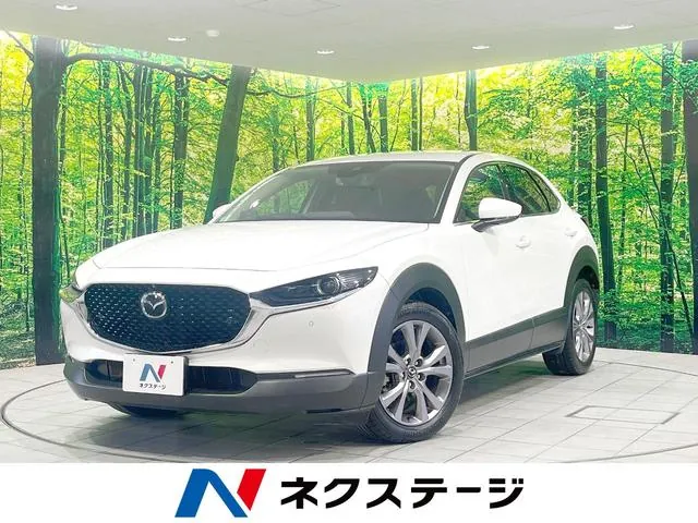 Mitsubishi Cx-30