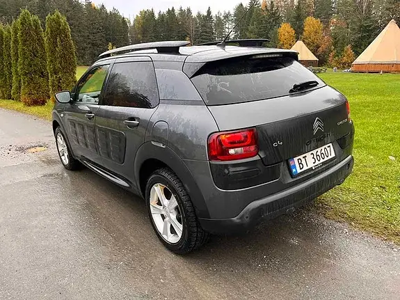 Citroen C4 Cactus 2016 photo 5