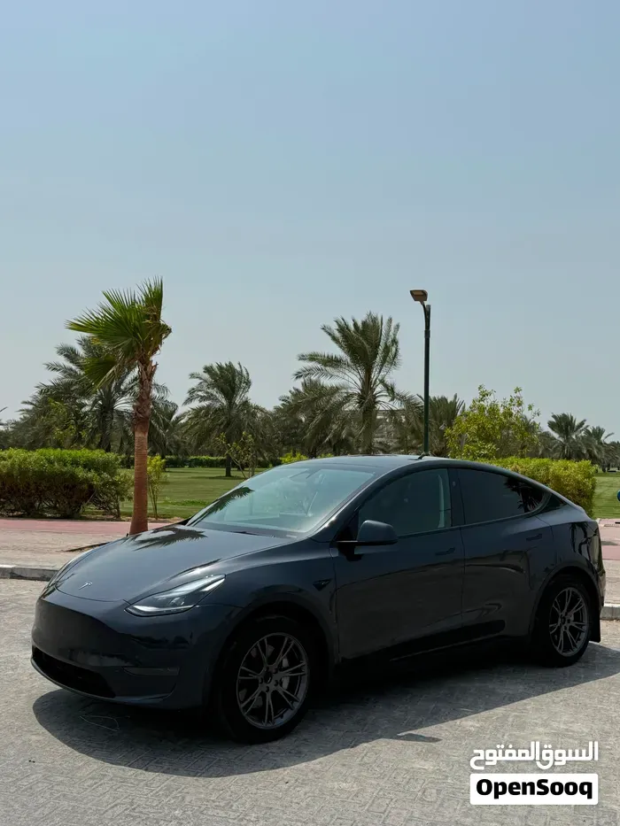 Tesla Model Y 2025 photo 3