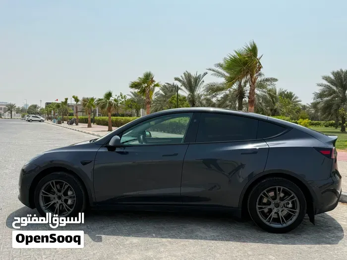 Tesla Model Y 2025 photo 4