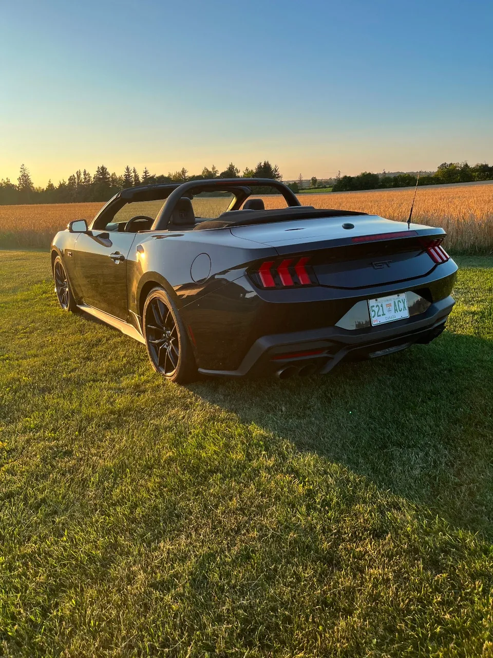 Ford Mustang 2024 photo 4