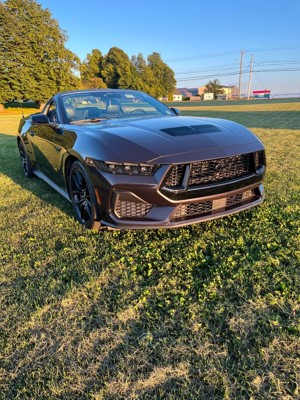 Ford Mustang 2024 photo 2