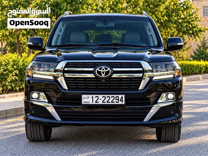 Toyota Land Cruiser 2008 photo 2