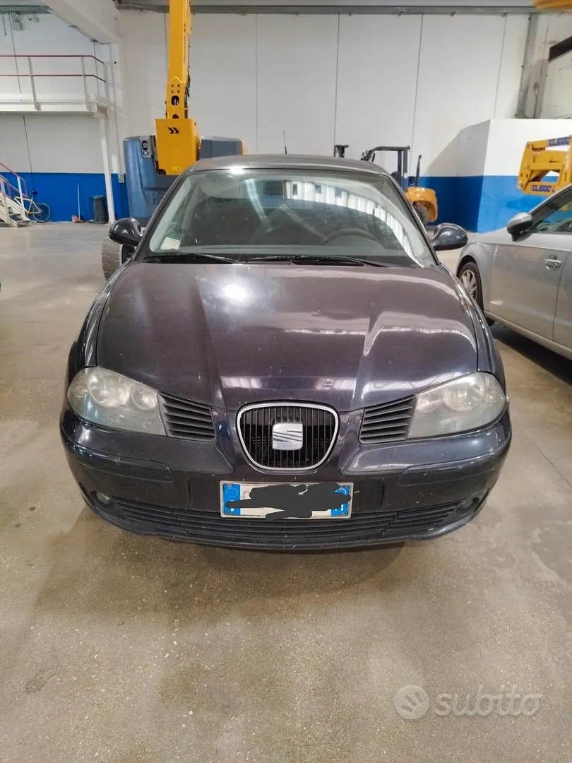 Seat Ibiza 2006 photo 2