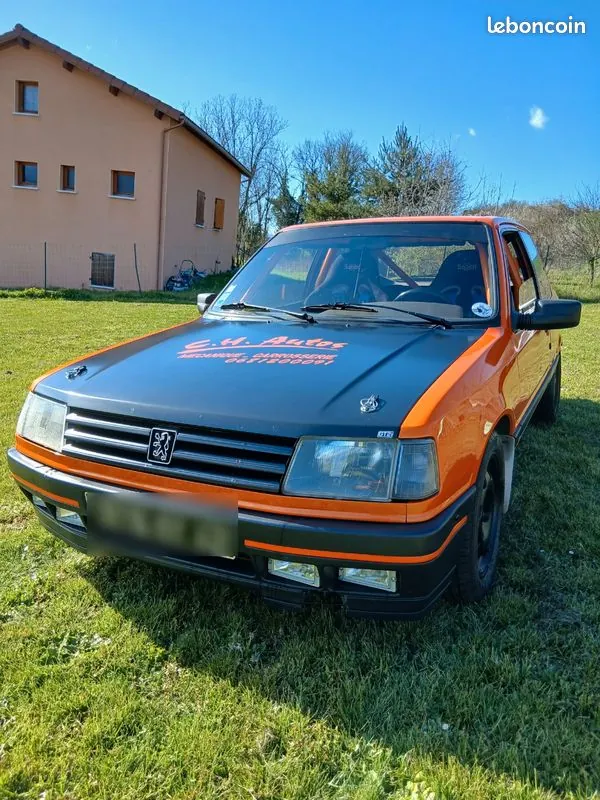 Peugeot 309 1989 photo 2