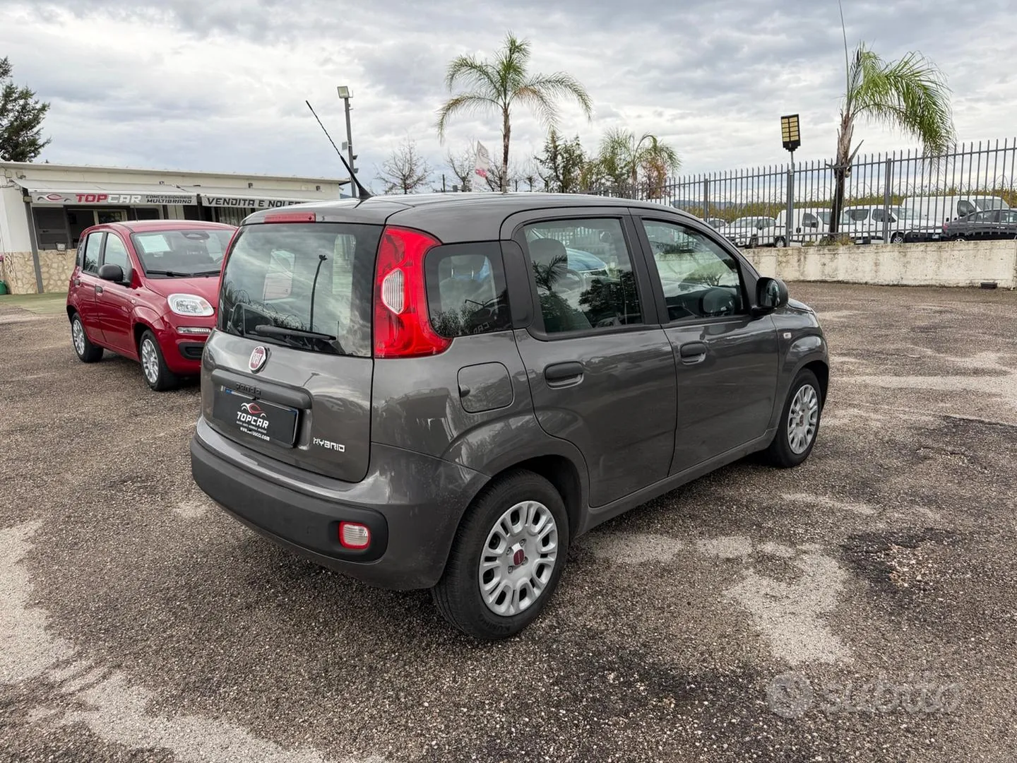 Fiat Panda 2021 photo 3