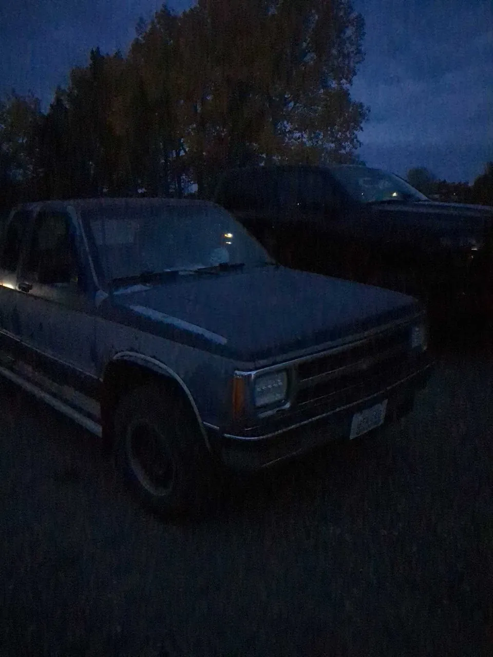 Chevrolet S-10 1991 photo 3