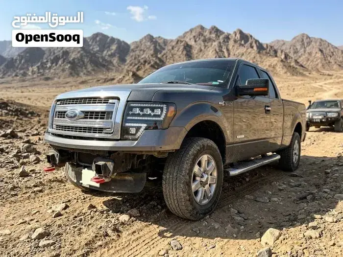 Ford F-150 2013 photo 2