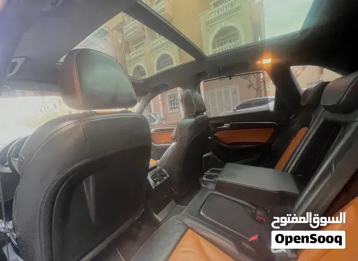 Audi Q5 2013 photo 2