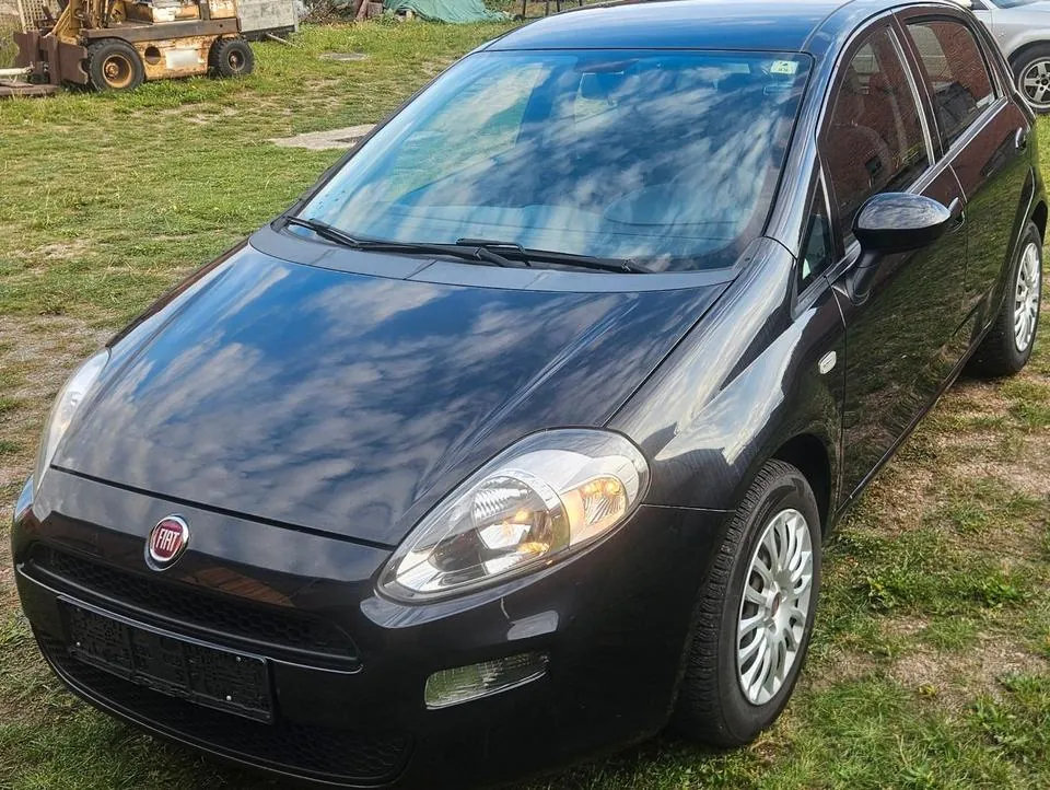 Fiat Punto