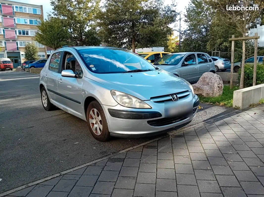 Peugeot 307 2002 photo 2
