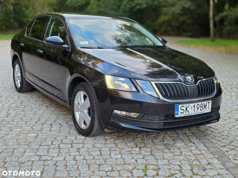 Skoda Octavia 2017 photo 3