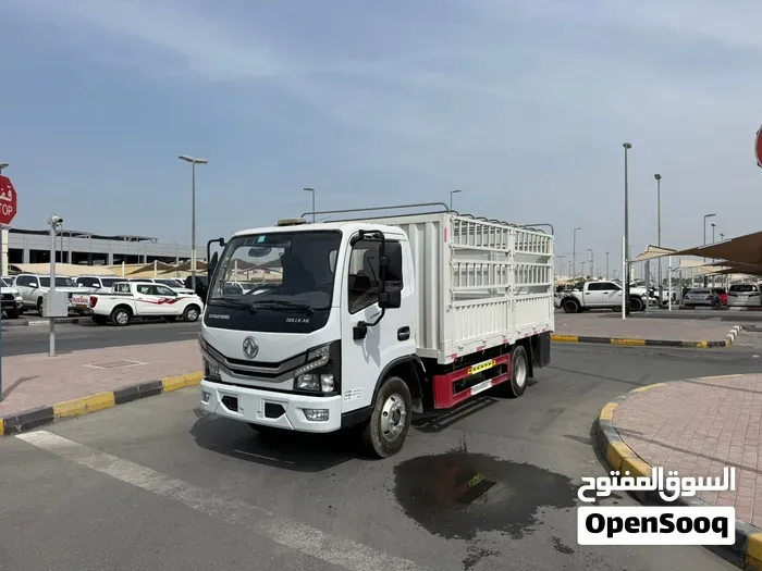 Dongfeng Geric
