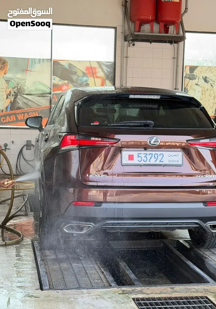 Lexus Nx 300 2019 photo 2