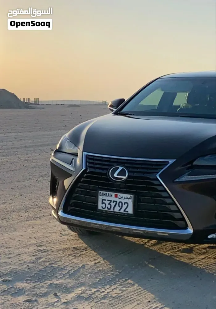 Lexus Nx 300 2019 photo 3